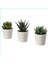 Mini Seramik Saksılarda Üçlü Kaktüs Seti 1