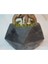 Ficus Ginseng Bonsai & Siyah Geometrik Beton Saksıda Canlı 2