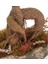 Ağaç Kabuğu Beton Saksıda Bonsai 4