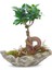 Ağaç Kabuğu Beton Saksıda Bonsai 1