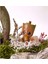Taş Saksıda Ficus Bonsai ve Groot 2