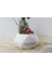 Ficus Ginseng Bonsai & Beyaz Geometrik Beton Saksıda Canlı Çiçek 4