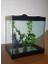 20 cm Hazır Akvaryum 1