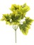 Yapay Hedera Demeti 34 cm Yeşil Sarı 1