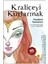 Kraliçeyi Kurtarmak | Günışığı Kitaplığı 9786059952767 2
