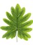 Yapay Philodendron Yaprağı 60 cm 2