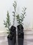 6 Adet Arbequina Bodur Zeytin Fidanı 1 Yaşlı 30-60 cm 1