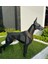 Doberman Lazer Kesim Metal 3 Boyutlu Büyük Boy Heykel Yer Dekoru Siyah 2