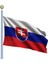 Slovakya Bayrağı (50X75 Cm) 1