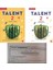 University Talent 2 Student's Book - Workbook With Online Practice 1