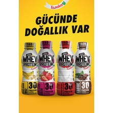 Whey Tazelen 30 gr Kahveli Whey Protein 12 Adet