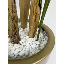 Biçiçek Areka Palmiyesi 160CM Metal Saksıda Black Gold