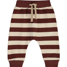 Civil Baby Erkek Bebek Patiksiz Tek Alt 6-18 Ay Çikolata Kahve