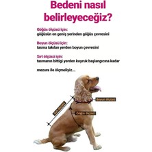 Miniş Turuncu Palmiyeli Küçük Irk Köpek Elbisesi (1 Kg-10 kg Arasına Uygun)