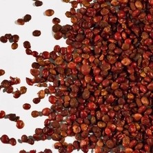 Botanik Sağlık Dökme Baharat Tane Sumak 100 gr