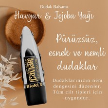 Biorlx Aloe Vera Dudak Balmı Jojoba Besleyici Pürüzsüzleştirici Renksiz Vegan Dudak Bakım 3,5 gr