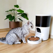 Internal Veterinary Systems Paslanmaz Mama Kaseli  – Açılı Kameralı - Otomatik Pet Mama Kabı