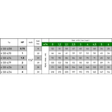 Amega 4 Sb 4/19 2 Hp Motora Döküm Başlıklı Norly Fanlı 4" Dalgıç Pompa Kademesi