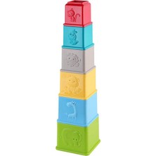 Kanz Eğitici Renkli Kaplar Zoo