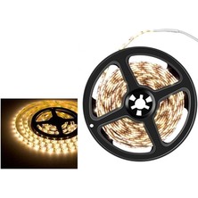 Cata Dış Mekan Silikonlu Günışığı Şerit LED CT-4488