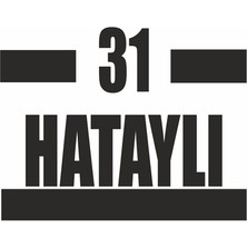 Reysa Tasarım 31 Hataylı Araba Sticker Siyah 16X9 cm