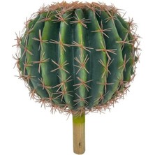 Nettenevime Yapay Çiçek Echinocactus Grusonii Altın Fıçı Kaktüs 25*25CM Cactüs SK4010