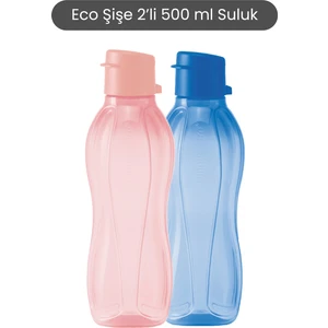 Eco Şişe 2li 500 ml Suluk Pamuk Şeker ve Deniz Mavisi