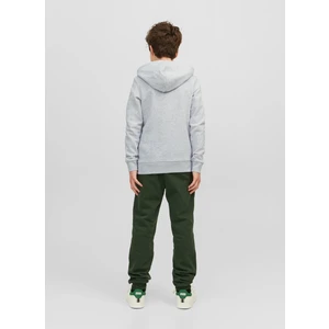 Jack & Jones Baskılı Erkek Çocuk Beyaz Sweatshirt Jjejosh Sweat Hood Sn Jnr