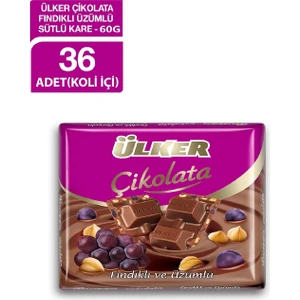 Kare Çikolata Üzümlü Fındıklı Sütlü 60 gr x 36 Adet