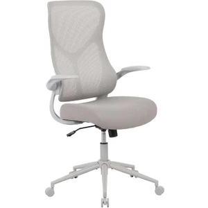 adore mobilya Techno Rest File Sırtlı Çalışma Koltuğu-Bej-Gri 65X110-120X67 cm (Gxyxd)