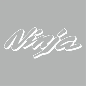 Reysa Tasarım Ninja Araba Sticker Beyaz 18X7 cm