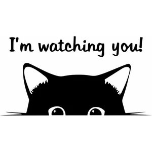 Reysa Tasarım Im Watching You Kedi Klozet Sticker Siyah 20X12 cm