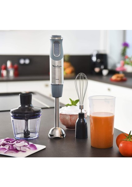 Quickchef – 3 Aksesuarlı El Blenderi, Paslanmaz Çelik, 10 Hız