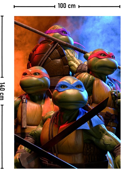 Ninja Kaplumbağalar Ninja Turtles Dc Duvar Örtüsü Halısı