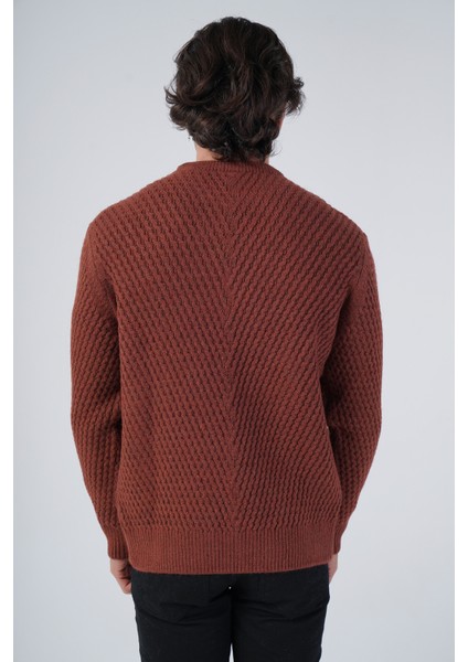 Erkek Yürütme Saç Örgülü Bisiklet Yaka Triko Yün Kazak TRIST-5312 modelleri