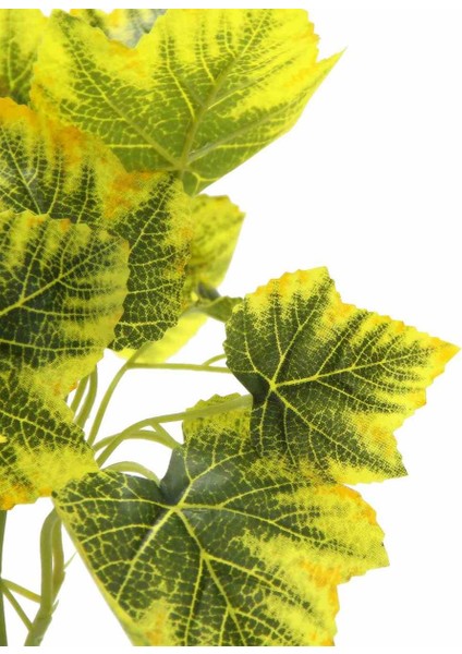 Yapay Hedera Demeti 34 cm Yeşil Sarı fiyatları