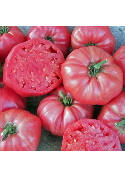 Pembe Domates Tohumu Nadir Ince Kabuklu ve Geleneksel Belgium Pink fiyatları