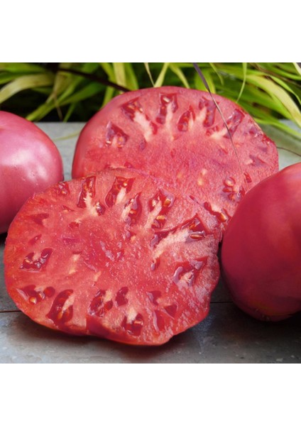 Pembe Domates Tohumu Nadir Ince Kabuklu ve Geleneksel Belgium Pink modelleri
