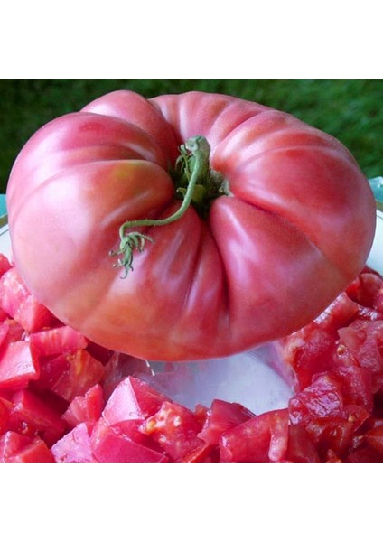 Pembe Domates Tohumu Nadir Ince Kabuklu ve Geleneksel Belgium Pink indirimleri