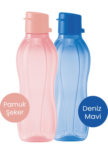 Eco Şişe 2li 500 ml Suluk Pamuk Şeker ve Deniz Mavisi