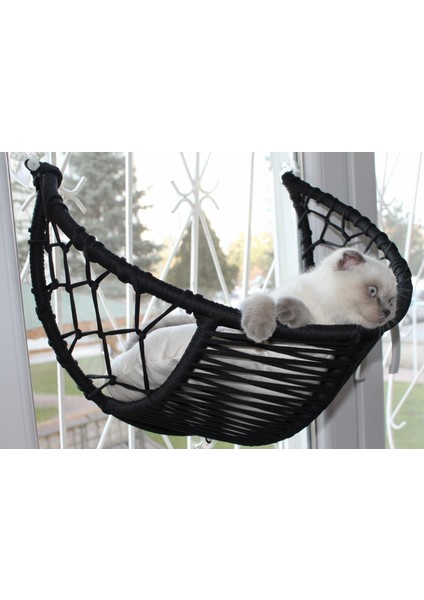 Harold Kedi Cam Yatağı & Cam Askılı Vantuzlu Kedi Yatağı