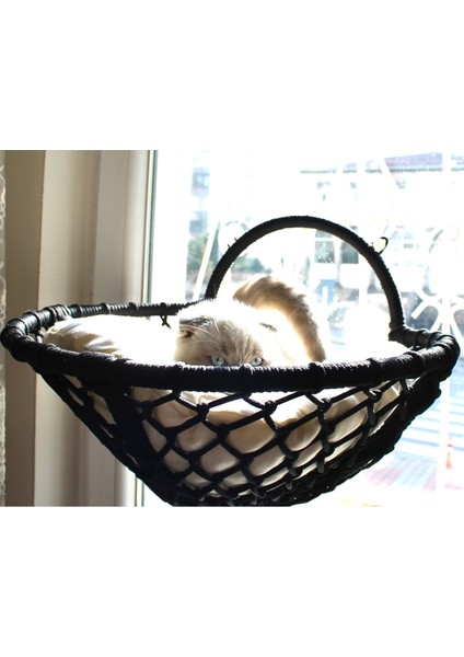 Grant Kedi Cam Yatağı & Cam Askılı Vantuzlu Kedi Yatağı fiyatları