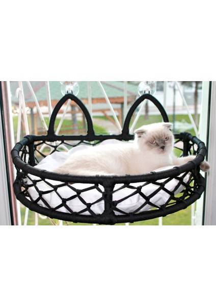 Cedric Kedi Cam Yatağı & Cam Askılı Vantuzlu Kedi Yatağı