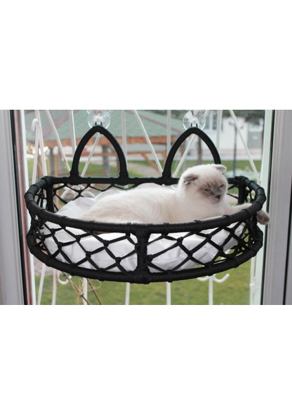 Cedric Kedi Cam Yatağı & Cam Askılı Vantuzlu Kedi Yatağı modelleri