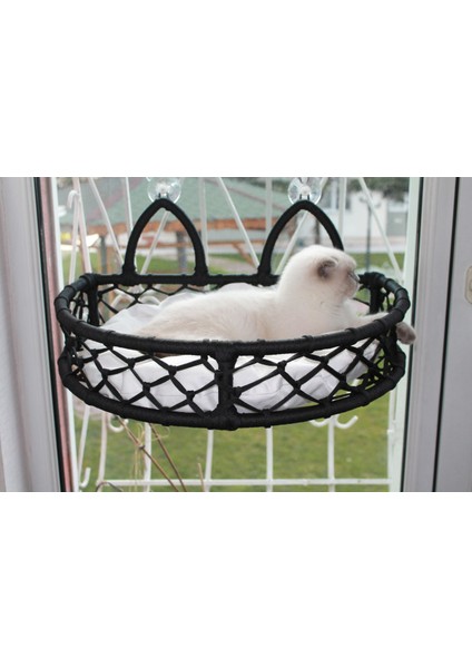 Cedric Kedi Cam Yatağı & Cam Askılı Vantuzlu Kedi Yatağı fırsatları