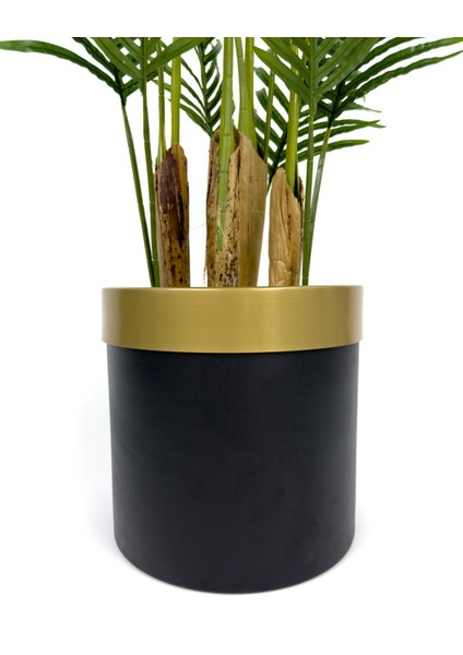 Areka Palmiyesi 160CM Metal Saksıda Black Gold