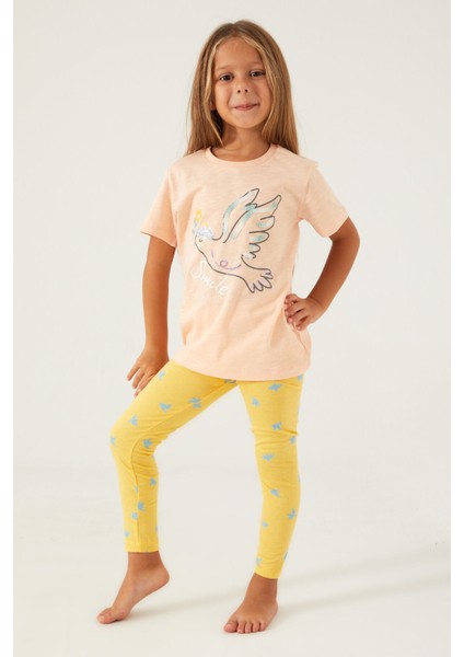 Bird Smile Kahverengi Kız Çocuk Tayt Takım fiyatları
