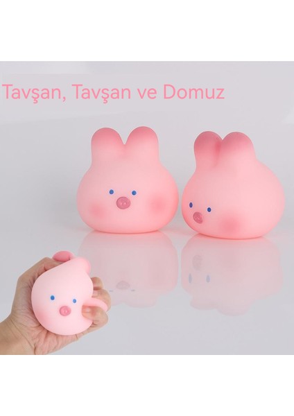 Tavşan Domuz Dekompresyon Havalandırma Pembe Sevimli Oyuncak (Yurt Dışından)