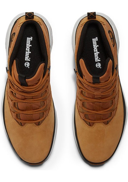 Low Lace Up Sneaker