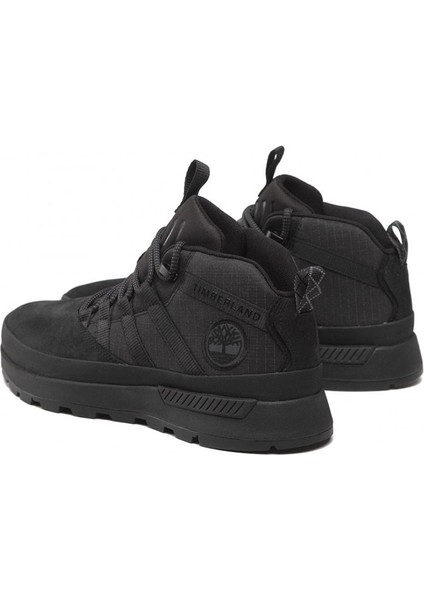 Low Lace Up Sneaker